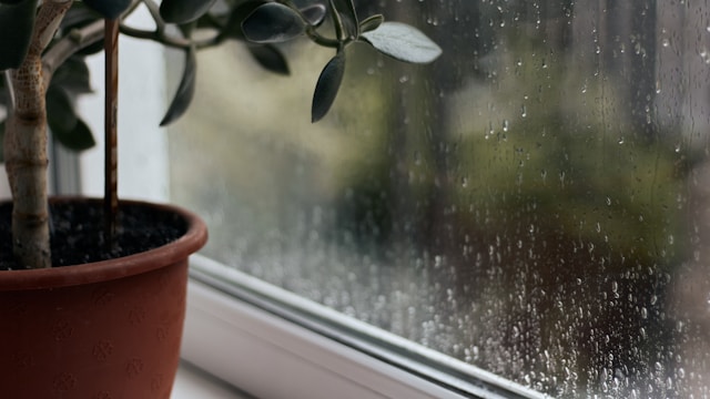 引っ越しは6月がおすすめ？梅雨時期だからこそ気をつけたいポイントのアイキャッチ画像